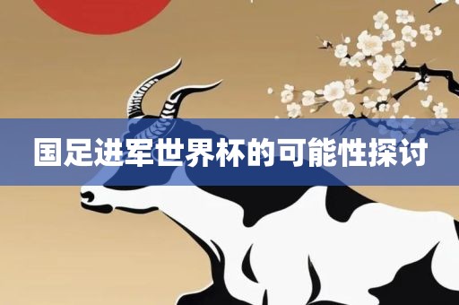 国足进军世界杯的可能性探讨