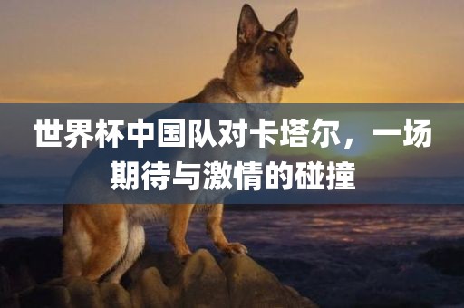 世界杯中国队对卡塔尔，一场期待与激情的碰撞眉山市正发家政服务有限公司