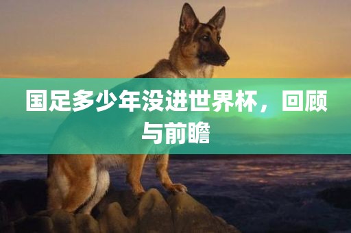 国足多少年没进世界杯，回顾与前瞻眉山市正发家政服务有限公司