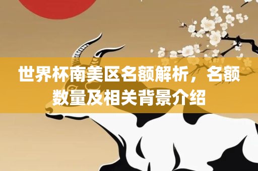 世界杯南美区名额解析，名额数量及相关背景介绍