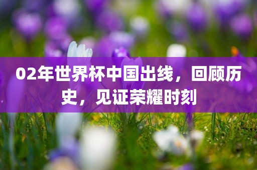 02年世界杯中国出线，回顾历史，见证荣耀时眉山市正发家政服务有限公司刻