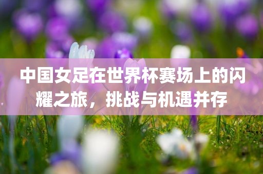 hualu 第5页