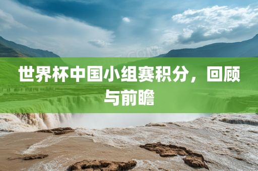 世界杯中国小组赛积分，回顾与前瞻