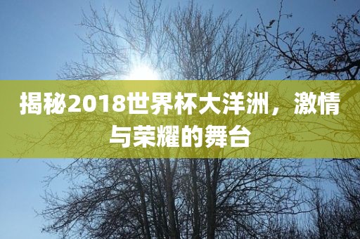 揭秘2018世界杯大洋洲，激情与荣耀的舞台眉山市正发家政服务有限公司