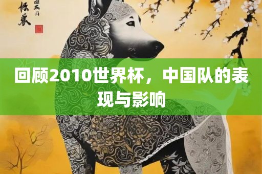 回顾2010世界杯，中国队的表现与影响