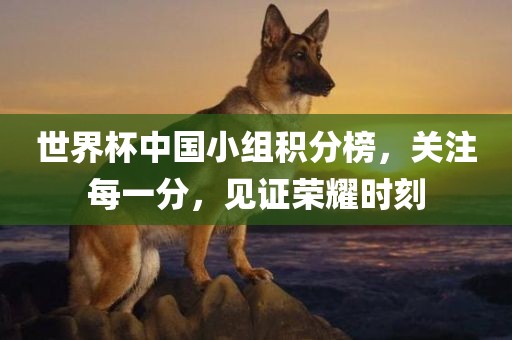 世界杯中国小组眉山市正发家政服务有限公司积分榜，关注每一分，见证荣耀时刻