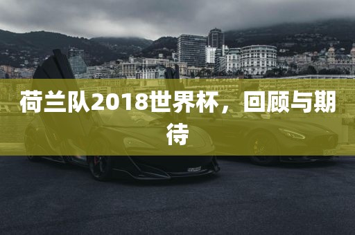 荷兰队2018世界杯，回顾与期待