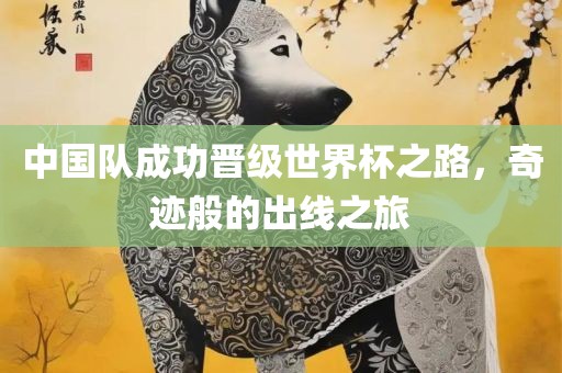 中国队成功晋级世界杯之路，奇迹般的出线之旅