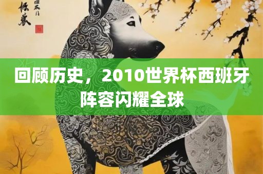 回顾历史，2010世界杯西班牙阵容闪耀全球眉山市正发家政服务有限公司