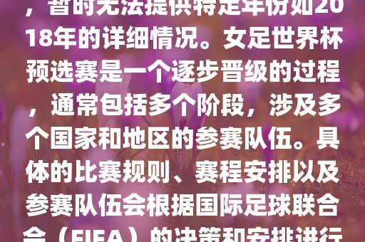 国际足球联合会（FIFA）