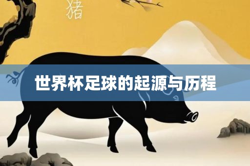 世界杯足球的起源与历程眉山市正发家政服务有限公司
