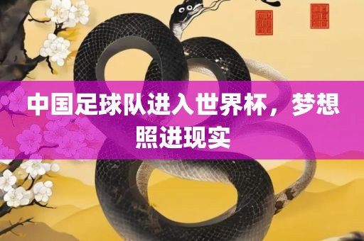 中国足球队进入世界杯，梦想照进现实眉山市正发家政服务有限公司