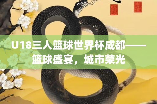 U18三人篮球世界杯成都——篮球盛宴，城市荣光