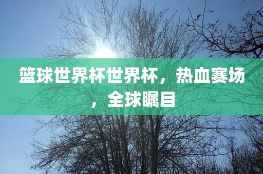 篮球世界杯世界杯，热血赛场，全球瞩目眉山市正发家政服务有限公司