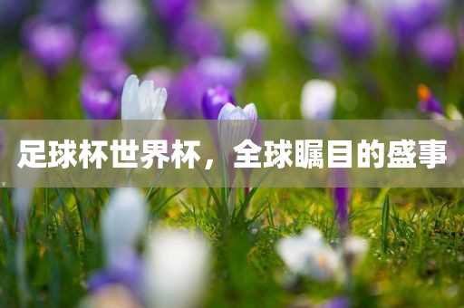 足球杯世界杯，全球瞩目的盛事眉山市正发家政服务有限公司