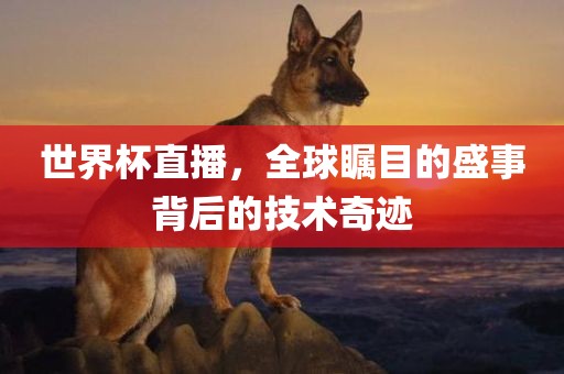 世界杯直播，全球瞩目的盛事背后的技术奇迹眉山市正发家政服务有限公司