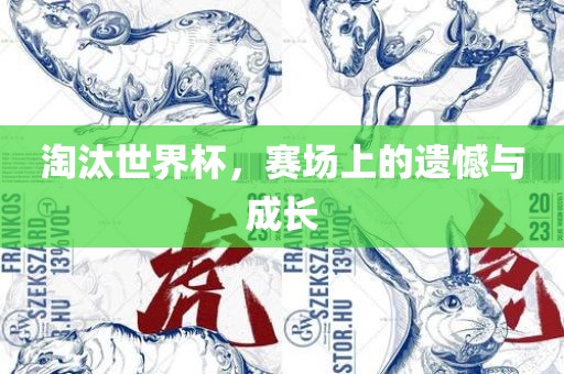 淘汰世界杯，赛场上的遗憾与成长眉山市正发家政服务有限公司