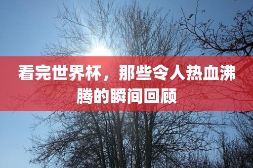 看完世界杯，那些令人热血沸腾的瞬间回顾眉山市正发家政服务有限公司