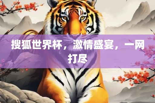 搜狐世界杯，激情盛宴，一网打尽眉山市正发家政服务有限公司
