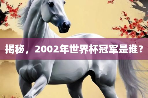揭秘，2002年世界杯冠军是谁？眉山市正发家政服务有限公司
