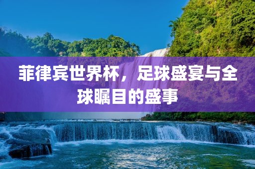 菲律宾世界杯，足球盛宴与全球瞩目的盛事眉山市正发家政服务有限公司