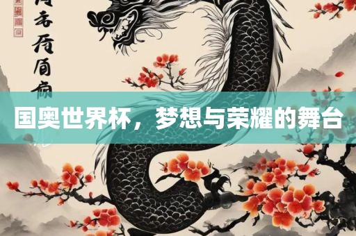 国奥世界杯，梦想与荣耀的舞台