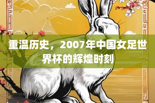 重温历史，2007年中国女足世界杯的辉煌时刻眉山市正发家政服务有限公司
