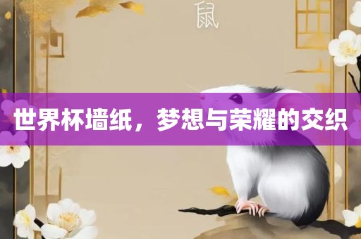 世界杯墙纸，梦想与荣耀的交织