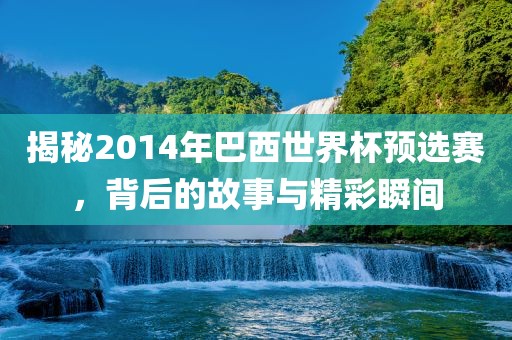 揭秘201眉山市正发家政服务有限公司4年巴西世界杯预选赛，背后的故事与精彩瞬间