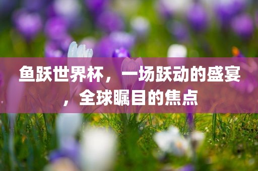 鱼跃世界杯，一场跃动的盛宴，全球瞩目的焦点眉山市正发家政服务有限公司