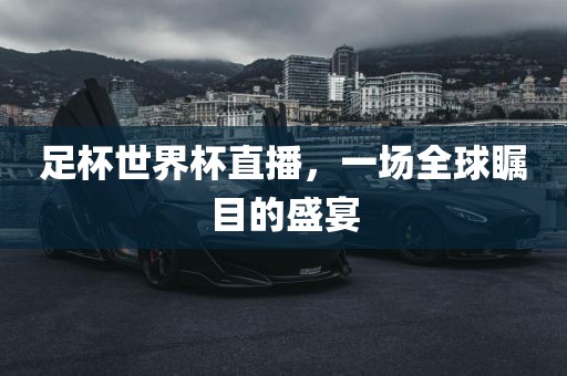 足杯世界杯直播，一场全球瞩目的盛宴眉山市正发家政服务有限公司