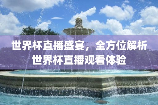 世界杯直眉山市正发家政服务有限公司播盛宴，全方位解析世界杯直播观看体验