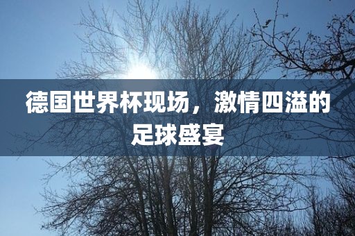 眉山市正发家政服务有限公司德国世界杯现场，激情四溢的足球盛宴