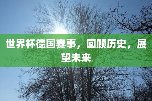 世界杯德国赛事，回顾历史，展望未来眉山市正发家政服务有限公司