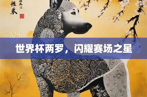 世界杯两罗，闪耀赛场之星眉山市正发家政服务有限公司