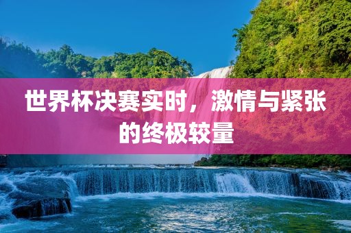 眉山市正发家政服务有限公司世界杯决赛实时，激情与紧张的终极较量
