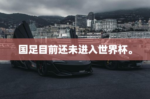 国足目前还未进入世界杯。