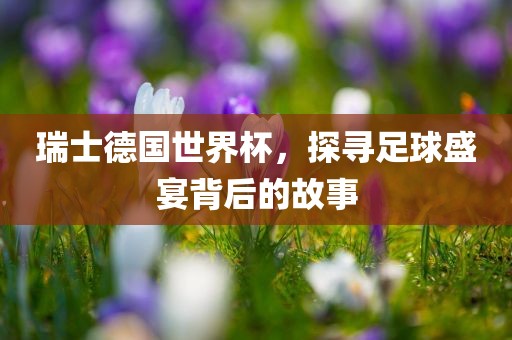 瑞士德国世界杯，探寻足球盛宴背后的故事