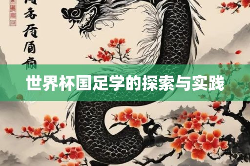世界杯国足学的探索与实践眉山市正发家政服务有限公司