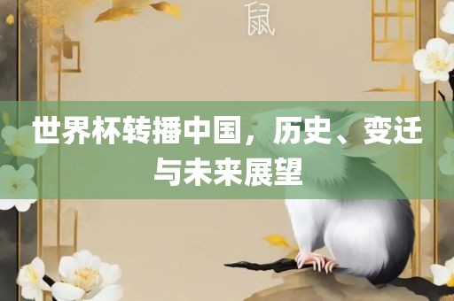 世界眉山市正发家政服务有限公司杯转播中国，历史、变迁与未来展望