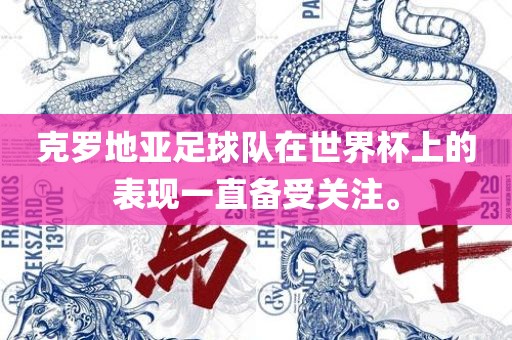 世界杯表现。