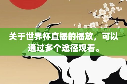 关于世界杯直播的播放，可以通过多个途径观看。