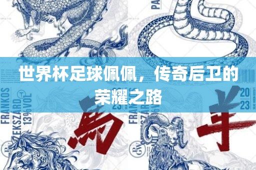 世界杯足球佩佩，传奇后卫的荣耀之路眉山市正发家政服务有限公司