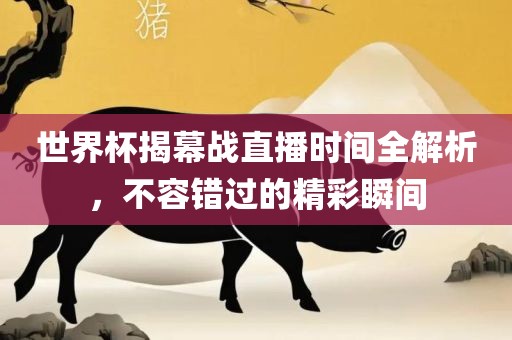 世界杯揭幕战直播时间全解析，不容错过的精彩瞬间