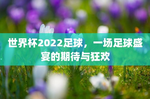 世界杯2022足球，一场足球盛宴的期待与狂欢眉山市正发家政服务有限公司