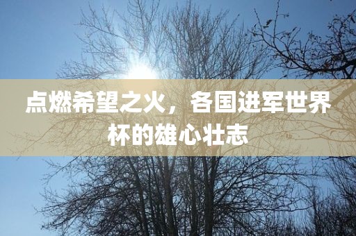 点燃希望之火，各国进军世界杯的雄心壮志眉山市正发家政服务有限公司