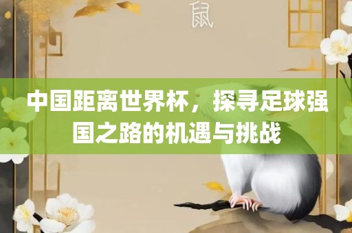 中国距离世界杯，探寻足球强国之路的机遇与挑战眉山市正发家政服务有限公司