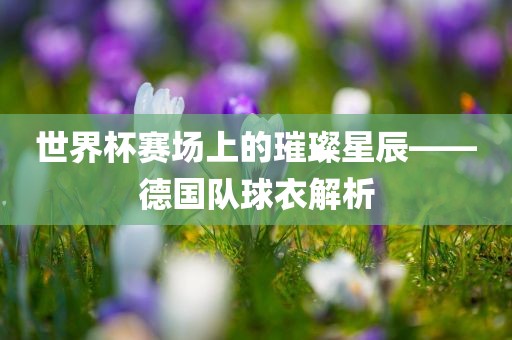 世界杯赛场上的璀璨星辰——德国队球衣解析眉山市正发家政服务有限公司