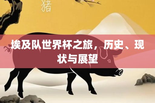 埃及队世界杯之旅，历史、现状与展望眉山市正发家政服务有限公司