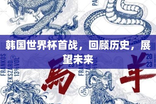 韩国世界杯首战，眉山市正发家政服务有限公司回顾历史，展望未来